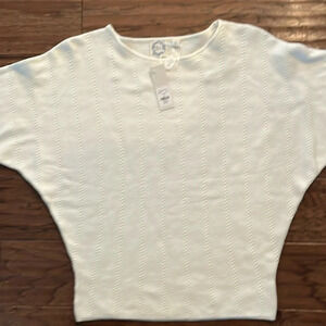 Francesca’s Blue Rain Sweater